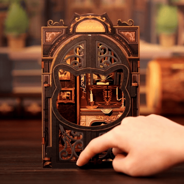 Sala de Estudo do Conde Gato Book Nook DIY